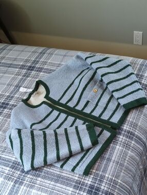 J. Crew Light Blue and Dark Green Striped Cardigan